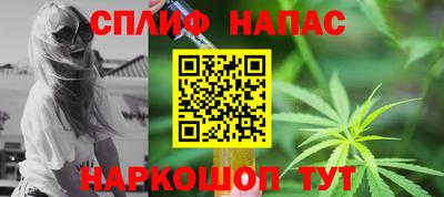 МДПВ Можга