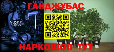 индика Ливны